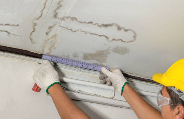 Reliable Water Damage Repair contractor in Shawmut, ME by Hirex Water Damage